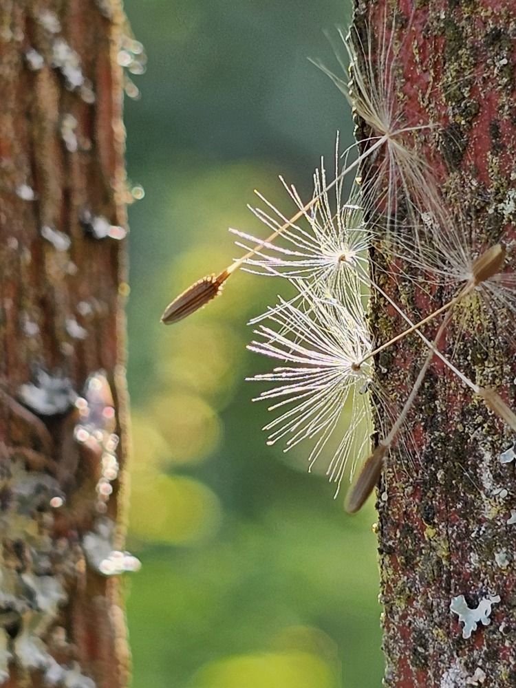 Photograph by Галина Левина