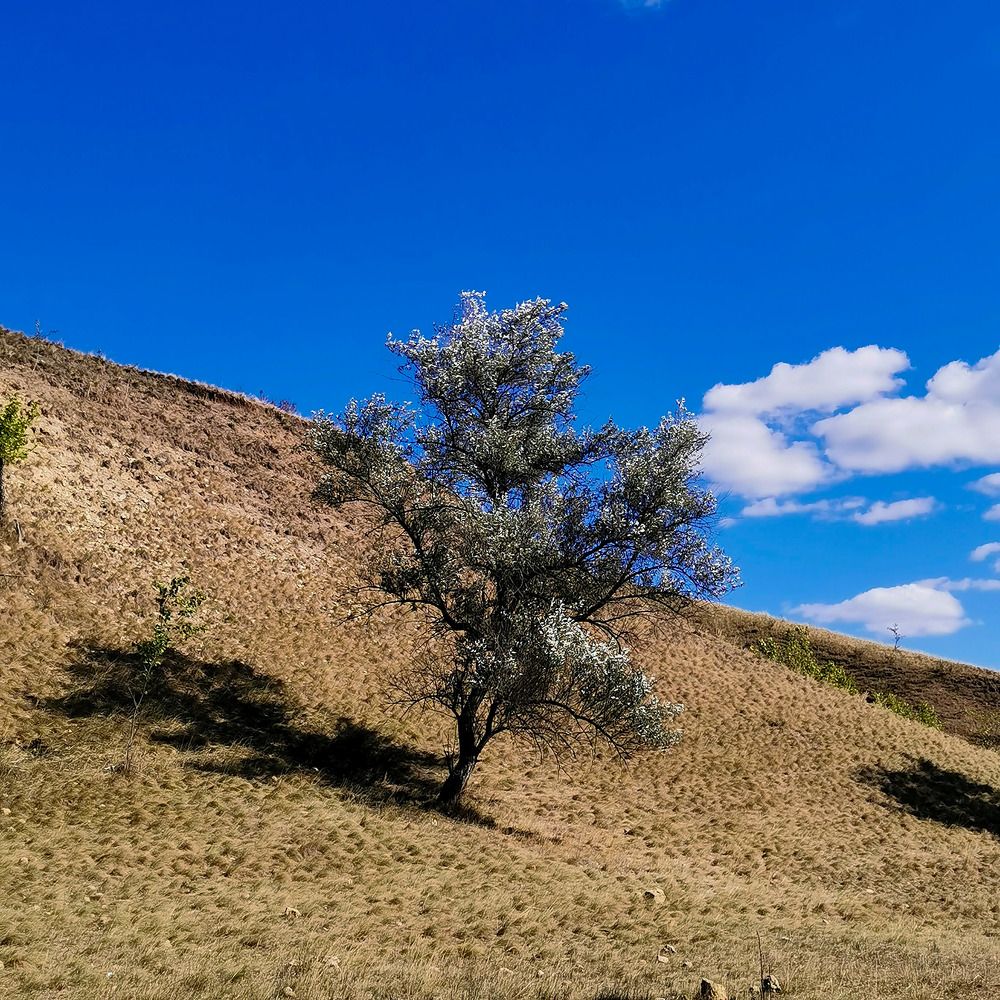 Photograph by Ольга Попченко