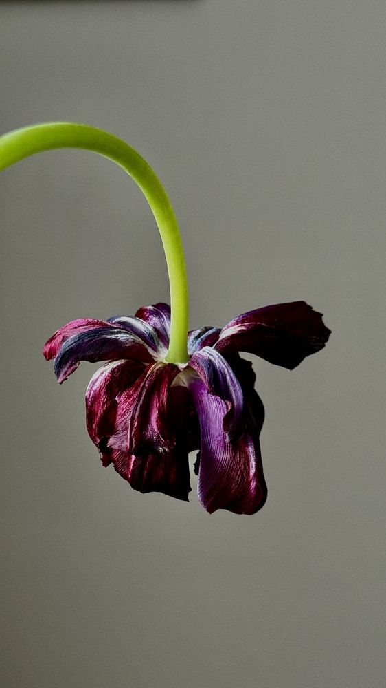 Photograph by Райхерт Вероника