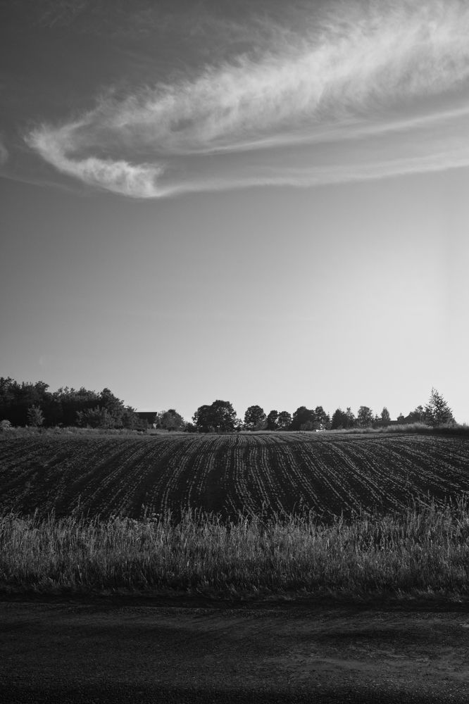 Photograph by Oleg Andrienko