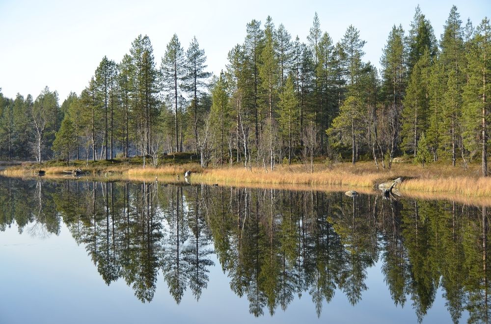 Озеро Пилигримское