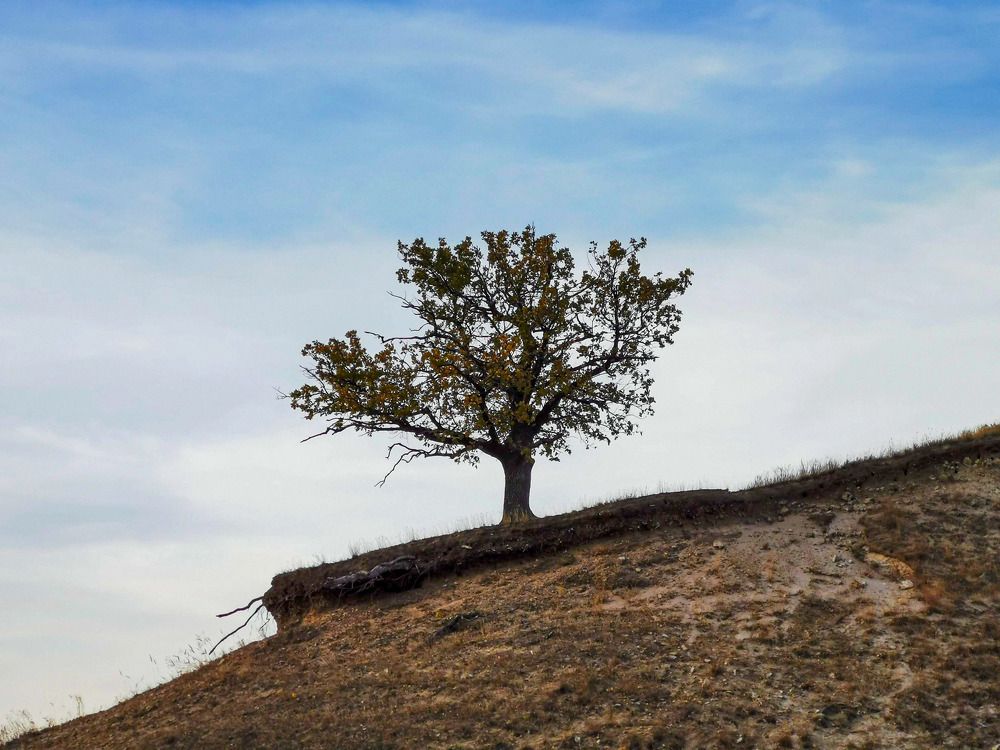 Photograph by Ольга Попченко