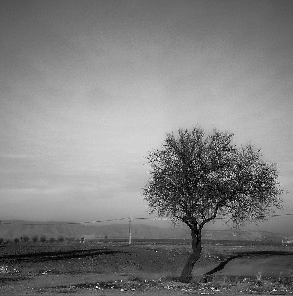 Photograph by Fatemeh Nz