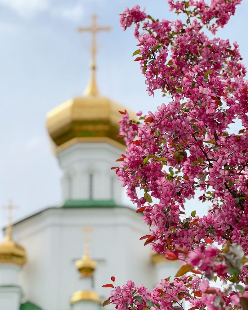 Photograph by Татьяна Волохова