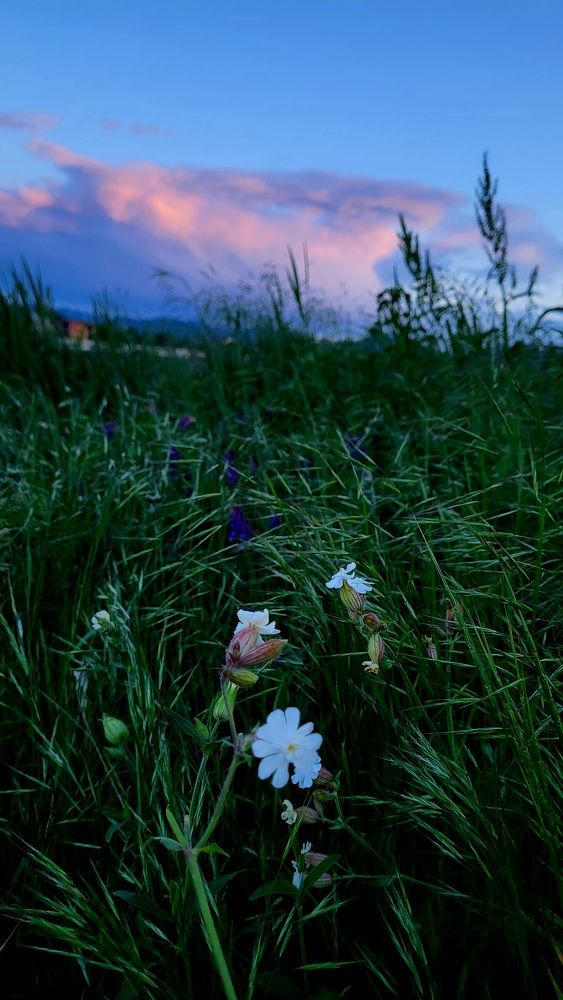 Photograph by @fatimat8981