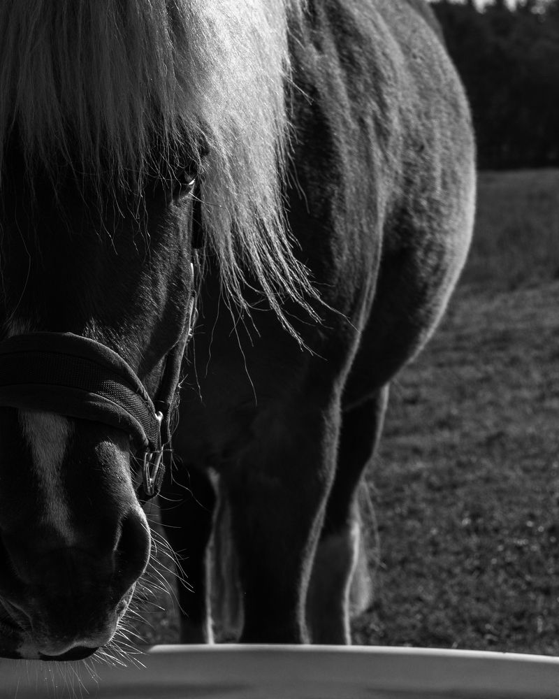Photograph by Gala Boyarkova