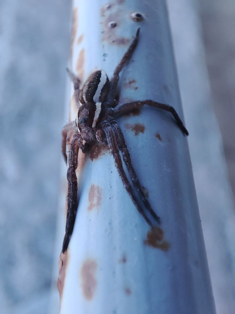 Photograph by Виктор