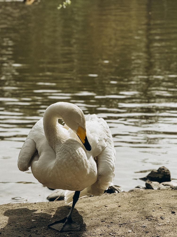 Photograph by Дарья Батюкова