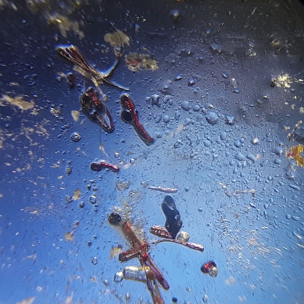 Photograph by Лидия Кашуро