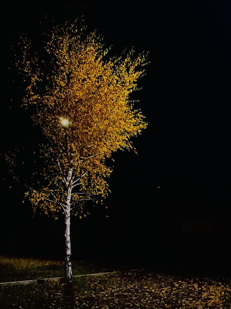 Фотография автора ГУЗАЛИЯ ГАНИЕВА