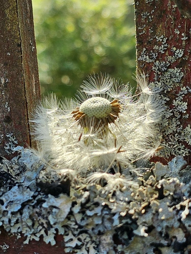 Photograph by Галина Левина