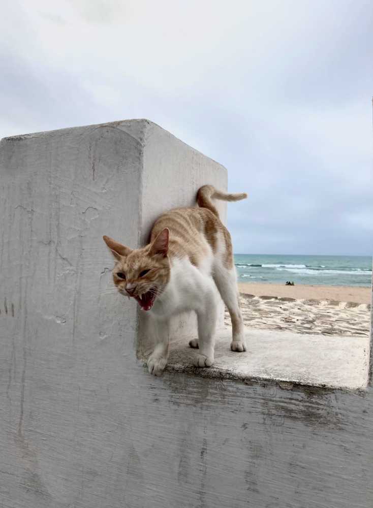 Photograph by Елена Захарова