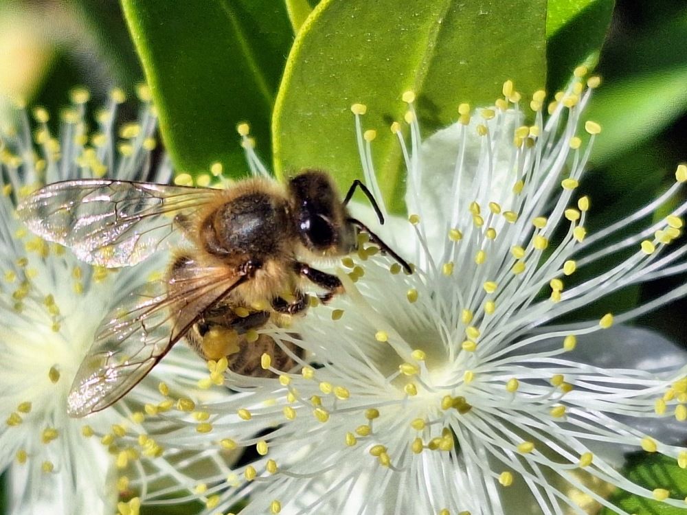 Photograph by Suzana Cakciri