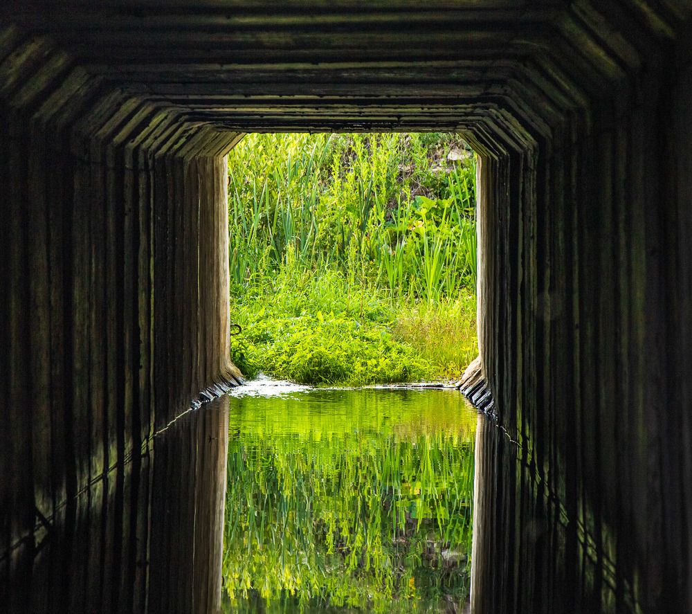 Photograph by Данила Черных