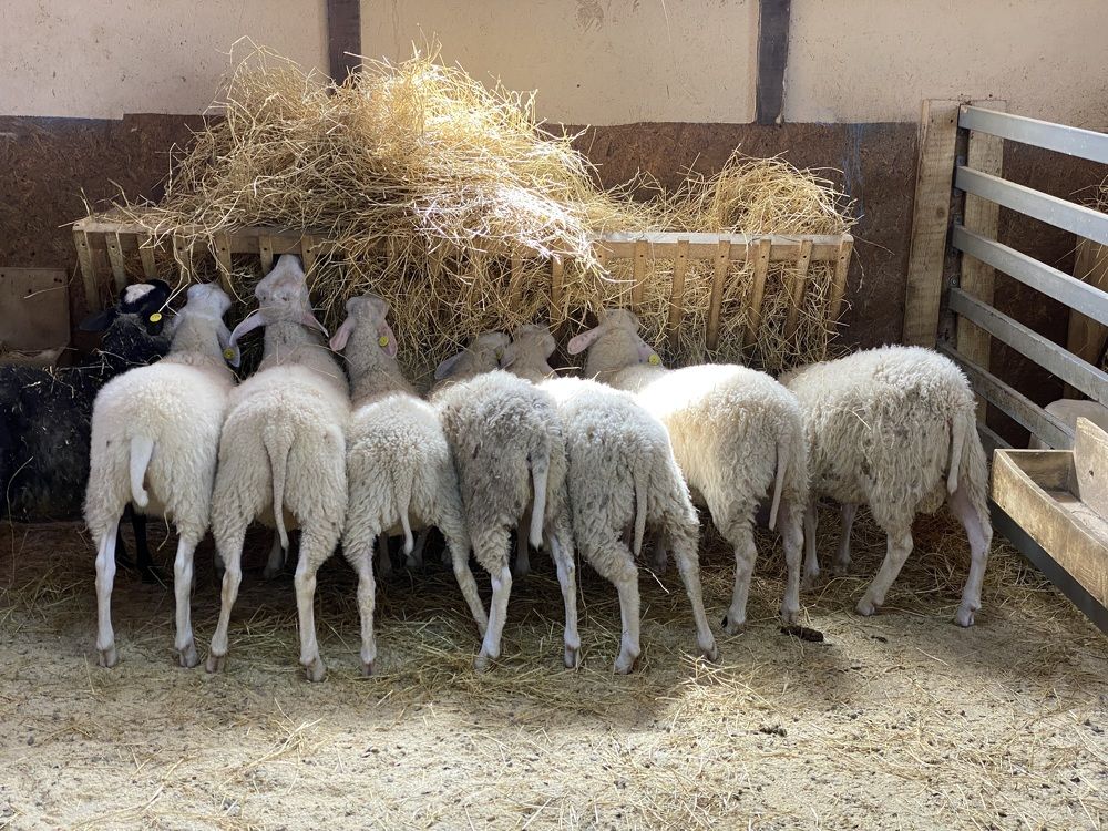 Photograph by Екатерина Жарская