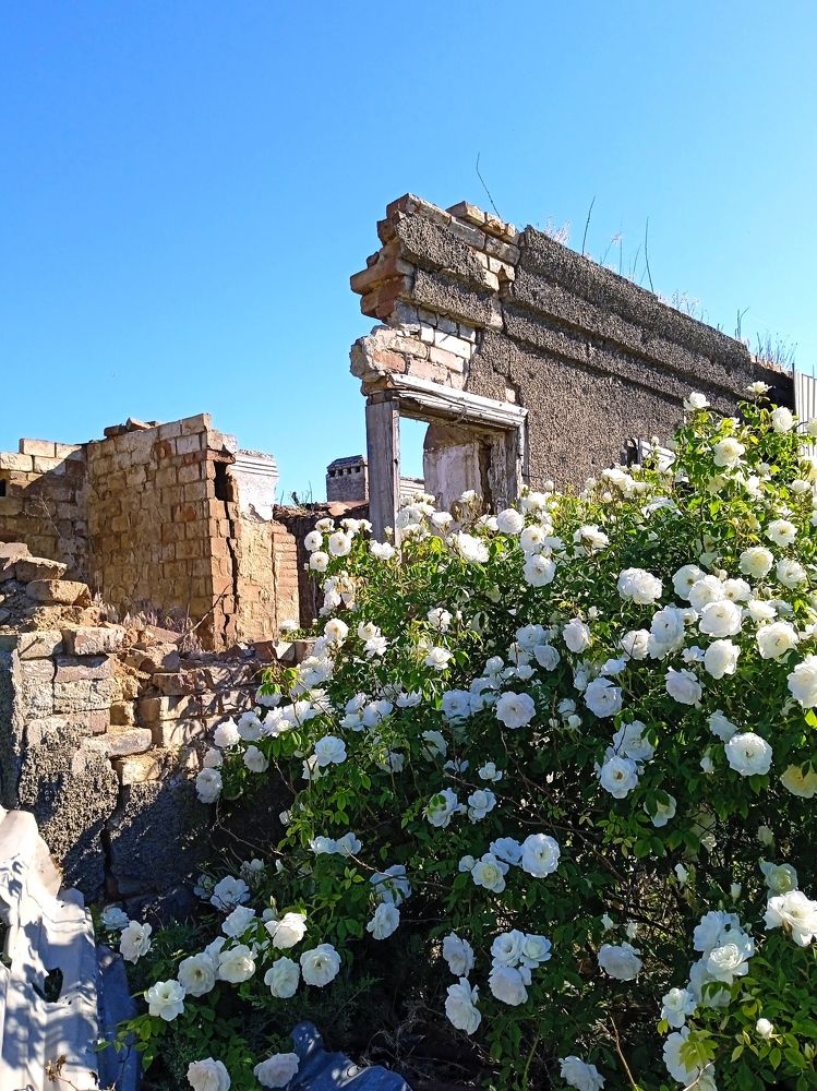 Photograph by Наталья Назаренко