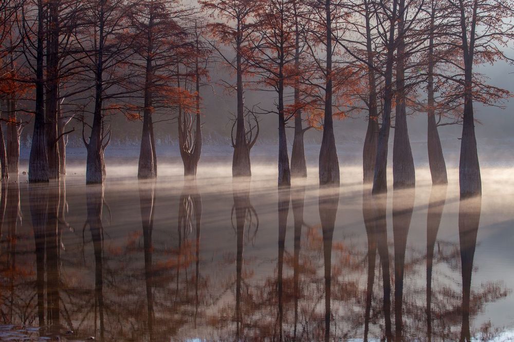 Photograph by Алиса Колпакова