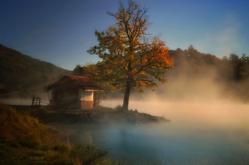 Фотография автора Юлияна Стоянова