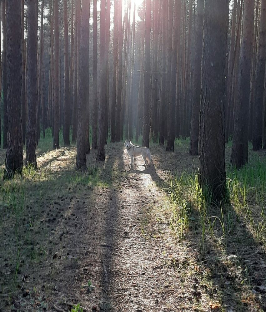 Photograph by Ирина Кленкова