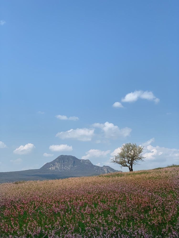 Photograph by Мария Алейникова