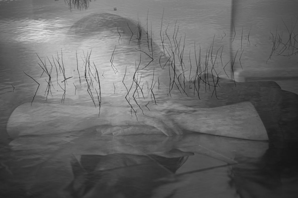 Photograph by Olga Vinogradova