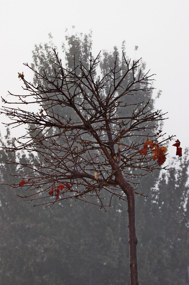 Photograph by Марина