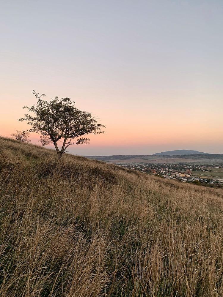 Photograph by Мария Алейникова