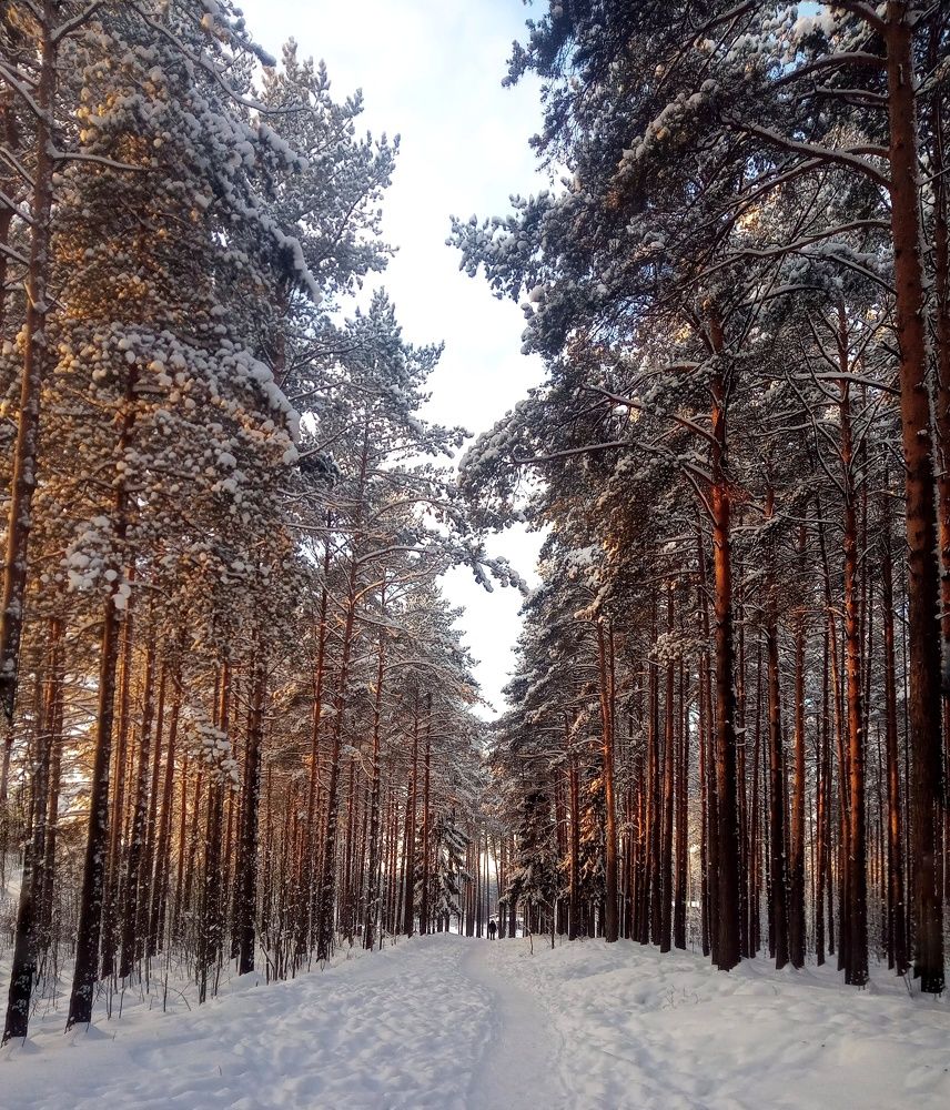 Photograph by Yulya Sbitneva