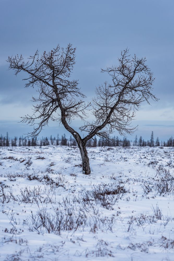 Одиночество