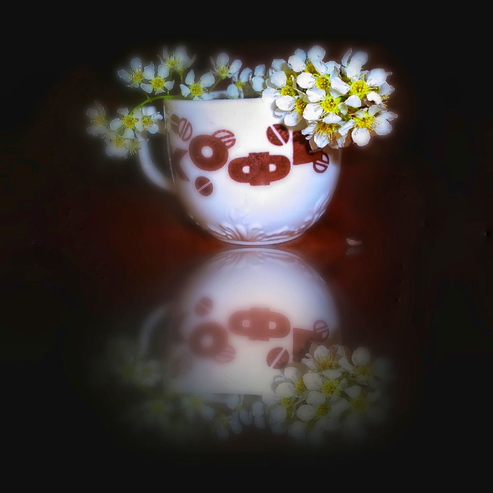 Photograph by Алла Холодова