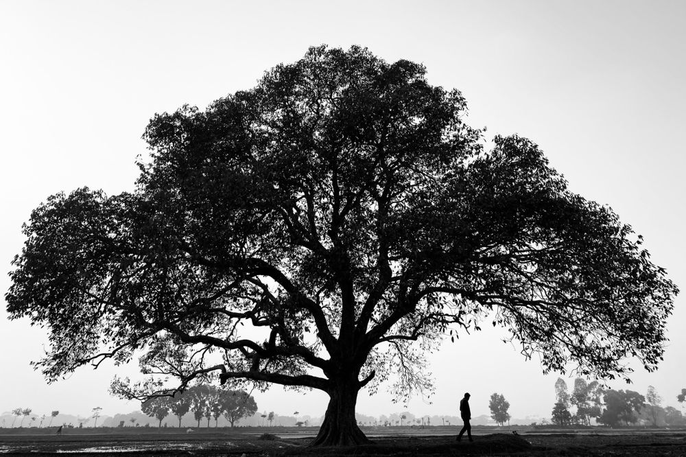 Photograph by MD. Imon Hossain