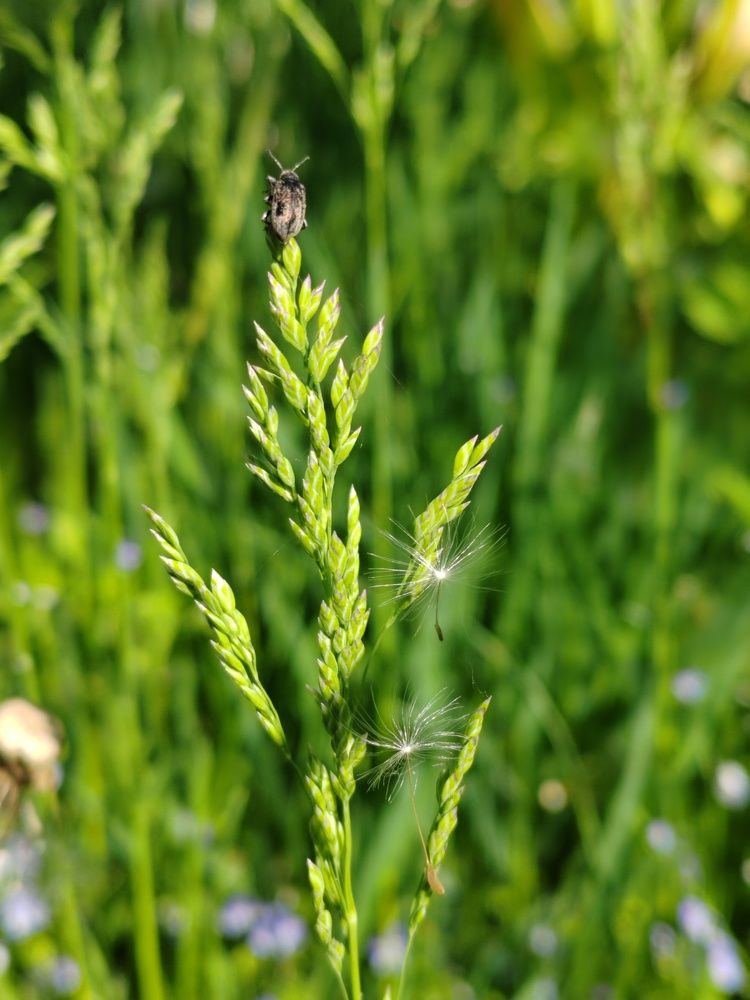 Photograph by Анастасия Проскурнова