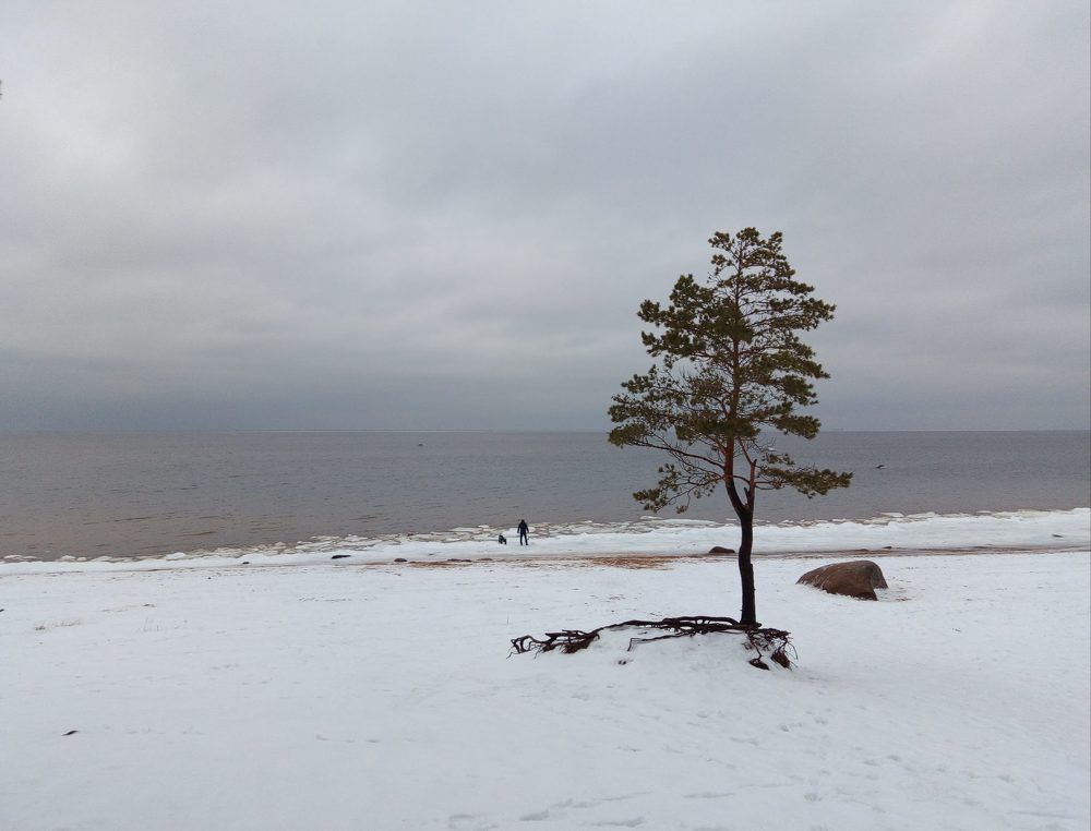 Photograph by Svetlana Gubanova