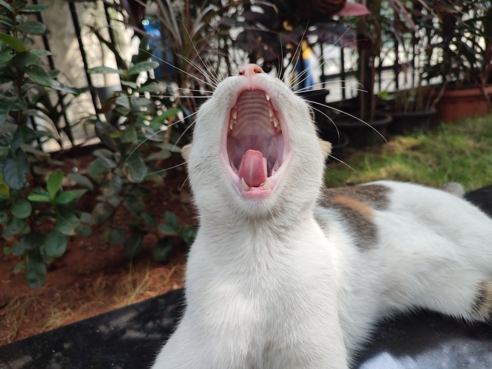 Photograph by Виктор