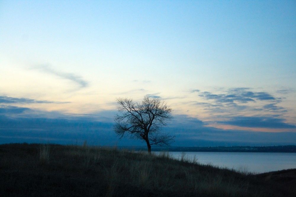 Photograph by Елена Ника