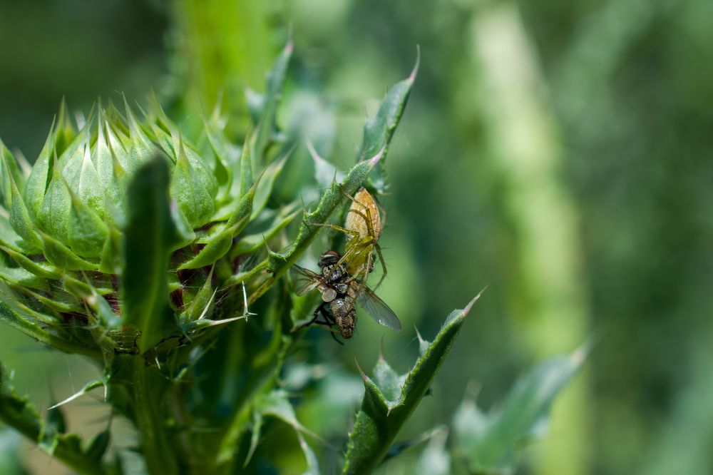 Photograph by Олег Алексеев