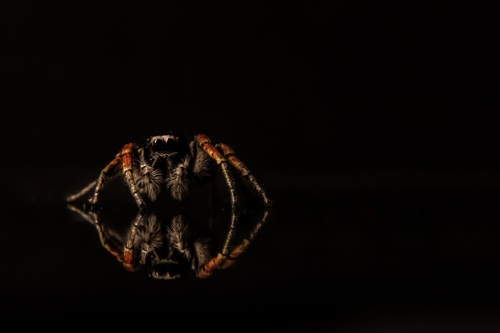 Photograph by Алёна Газукина