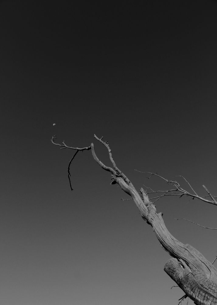 Фотография автора bahar td