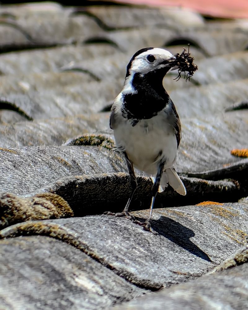 Photograph by Наталья Балабанова
