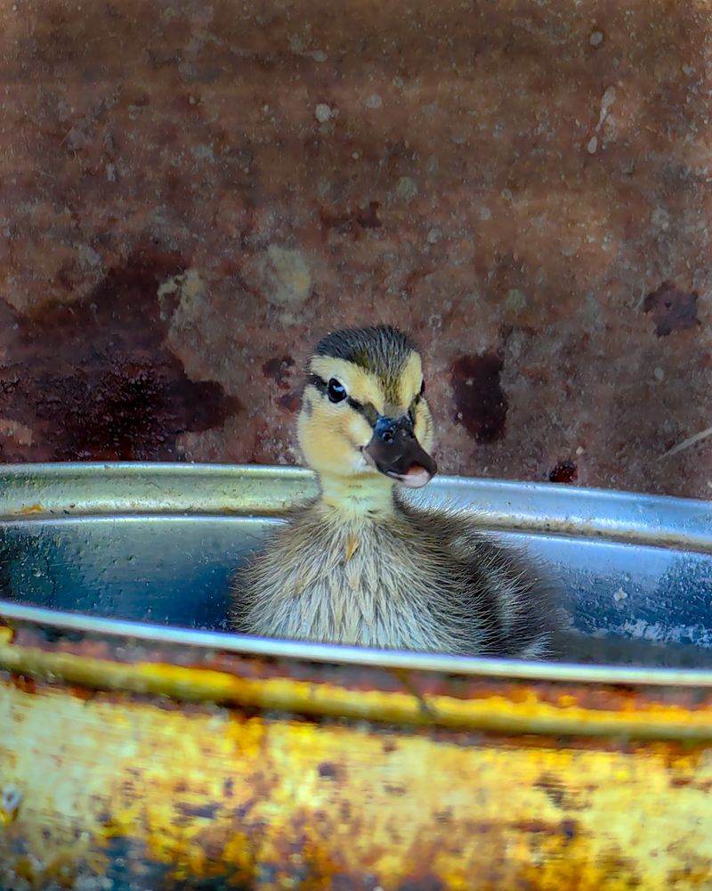 Photograph by Наталья Балабанова