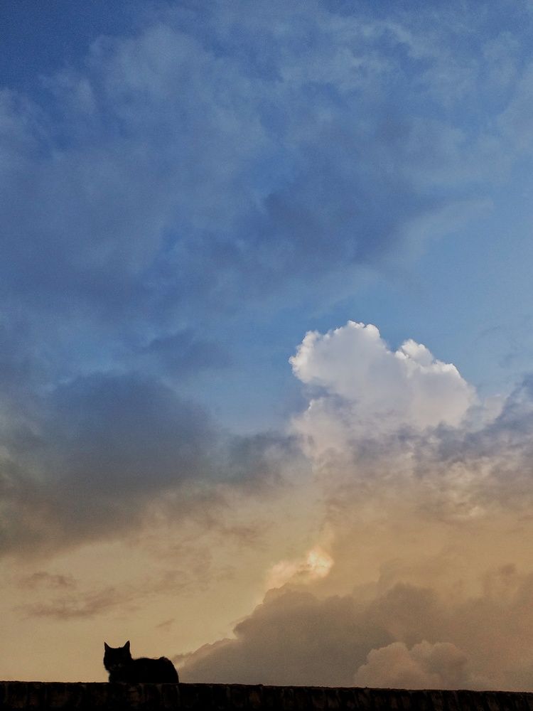 Фотография автора bahar td