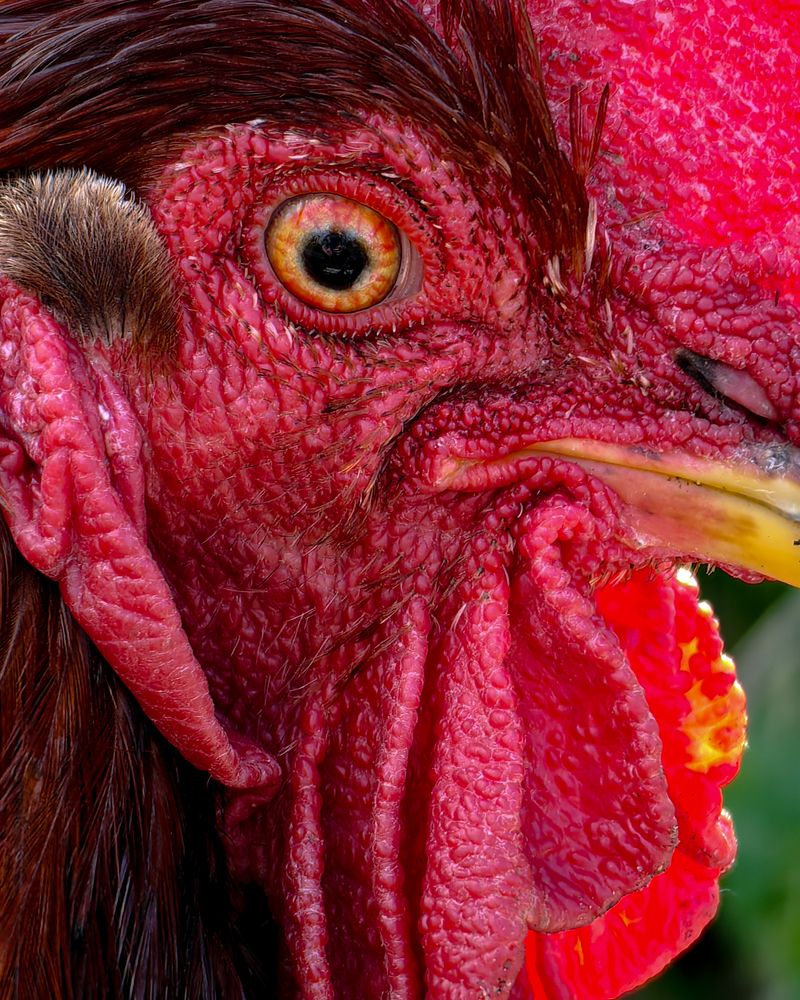 Photograph by Наталья Балабанова