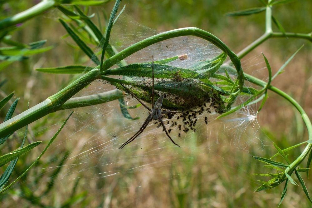 Photograph by Олег Алексеев