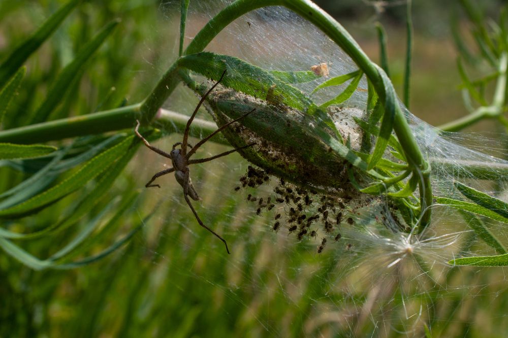 Photograph by Олег Алексеев