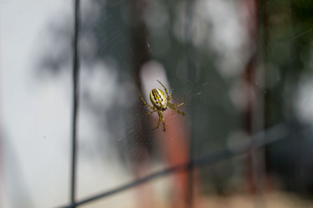 Photograph by Олег Алексеев