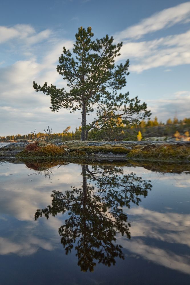 Photograph by Дмитрий Лепаков