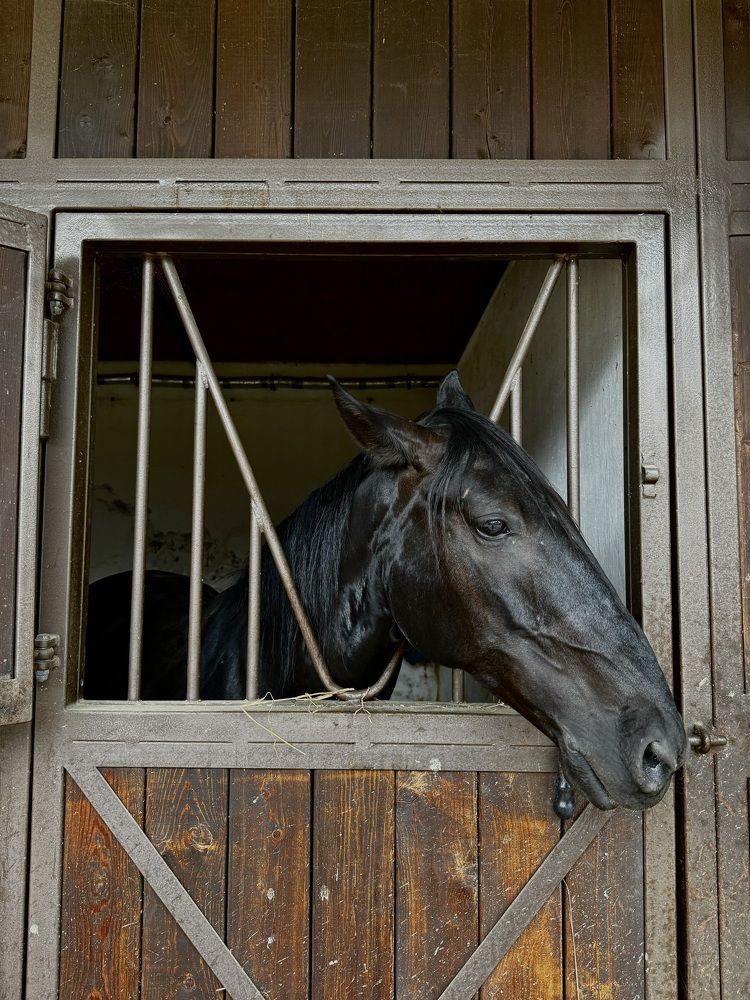 Photograph by Анастасия Денисенко