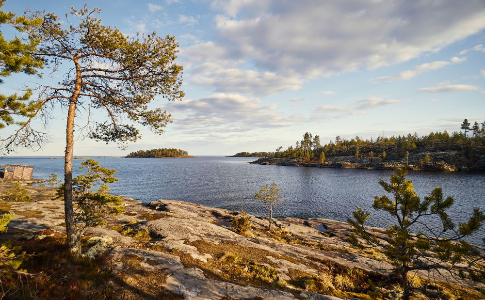 Photograph by Дмитрий Лепаков