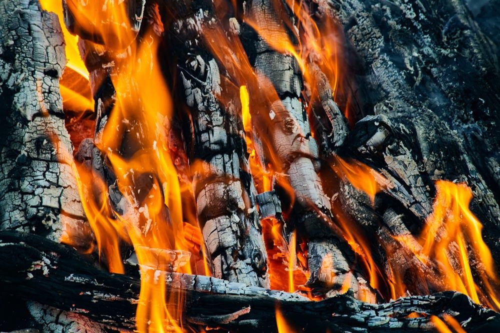 Photograph by Дмитрий Лепаков