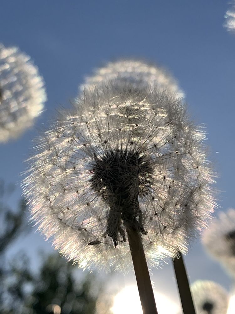 Photograph by гульназ замалеева